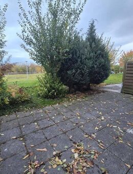 Wo sich Fuchs und Hase gute Nacht sagen - 2 RW mit Terrasse - Haina