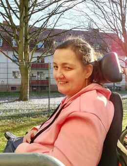 Teddyhamster Weibchen gesucht - Minden (Nordrhein-Westfalen)