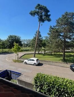 2 tolle, separate Wohnungen als Einheit. Insges. 4 Zimmer, 2 Badezimmer , 1 Einbauküche, 1 Balkon. Ruhige Lage. MA-Blumenau - Mannheim
