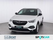 Opel Grandland X, 1.6 Ultimate Hybrid, Jahr 2021 - Einbeck