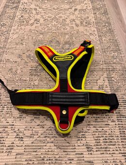 Niggeloh Follow Sport Plus - Bendorf (Schleswig-Holstein)