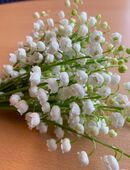 Suche ernste , langfristige Beziehung. in 13357