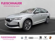 Skoda Octavia, 2.0 TDI Combi Selection Digitales, Jahr 2025 - Mönchengladbach