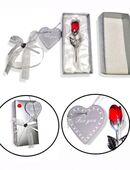 Geschenkidee Glas Rose Rot mit Box Liebesgeschenk Valentinstag Geburtstag Liebe 11,90 €* in 78052