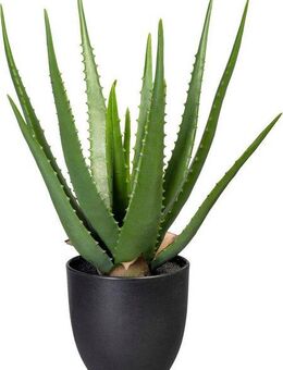 Künstliche Zimmerpflanze Aloe, Creativ green, Höhe 47 cm