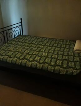 SUCHE WG PARTNERIN - Hamburg Altstadt