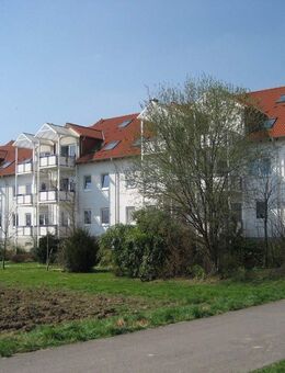 Schöne 2,5 Zimmer Maissonette Wohnung mit herrlichem Blick ins Grüne. - Ludwigshafen (Rhein)