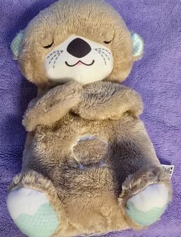 Schlafotter (Fisher-Price) - Miesbach