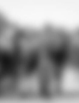 Sas*** - Hamburg Altona