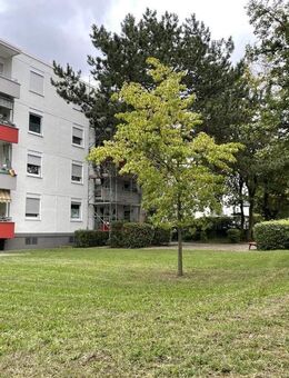 3-Zi. Wohnung in Mainz-Mombach-frei ab 2026 - Mainz