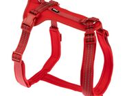 TIAKI Geschirr Neoprene, rot - Größe XL: 62 - 110 cm Brustumfang