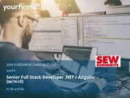 Senior Full Stack Developer .NET / Angular (w/m/d) - Bruchsal