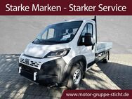 Fiat Ducato, Maxi 35 L3 Pritsche # #, Jahr 2022 - Bayreuth