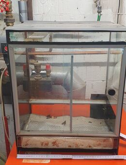 2 Terrarien Wulztverklept - Bovenden