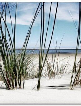 Artland Glasbild Düne, Strand (1 St), in verschiedenen Größen