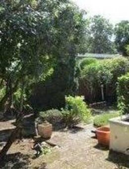 ***Schöner Bungalow sucht neuen Eigentümer!*** - Ludwigshafen (Rhein)