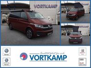 VW T6 California, 1 Beach Camper Edition, Jahr 2023 - Gronau (Westfalen)