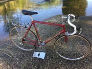 Rennrad Koga Miyata - Hirschhorn (Neckar)