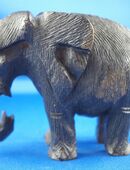 Elefant dunkel in 07743