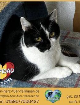 Navidad träumt von einem eigenen Zuhause - Waakirchen