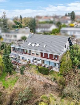 Main-Panorama und Mieteinnahmen: Architektenhaus in Obernburg - Obernburg (Main)