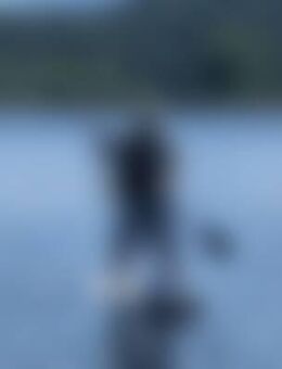 Joh*** - Freilassing