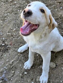 Anouk wird mal ein großes Mädchen! - Oberhausen