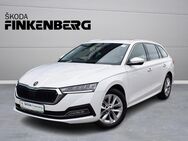 Skoda Octavia, 2.0 TDI Combi Style, Jahr 2024 - Verden (Aller)