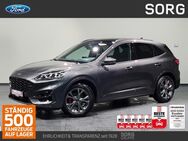 Ford Kuga, 1.5 EcoBoost ST-Line X, Jahr 2024 - Fulda