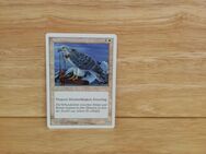 Magic The Gathering-Deckmaster. -Kapitän der himmelsritter. - Nörvenich