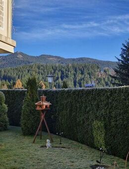 ***Die besondere Immobilie für Ruhesuchende*** - Lohberg