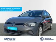 VW Golf, 1.5 VIII eTSI Life OPF (EURO 6d) Life eTSI, Jahr 2023 - Groß Grönau