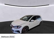 VW Golf, 2.0 TSI VII GTI Performance, Jahr 2019 - Mönchengladbach