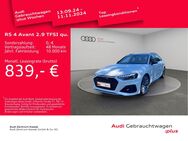 Audi RS4, 2.9 TFSI quattro Avant, Jahr 2023 - Kassel