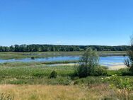 Traumhafter Blick auf idyllische und urige Seenlandschaft mit Kranichen und Wasserbüffeln - Mölln (Mecklenburg-Vorpommern)