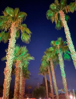 Suche Frau - Eschwege Zentrum