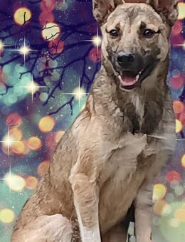 Wartend auf ein Wunder! - Stuttgart