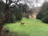 Im Norden von Hamburg in Top Lage die Natur genießen! - Hamburg