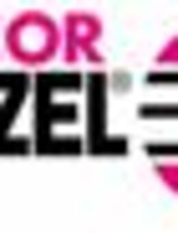 Leiter Service und Anwendungstechnik (m/w/d) - Buseck