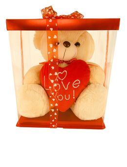 Teddybär in Geschenkbox - Alzenau