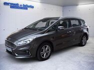 Ford S-Max 2.0 EcoBlue TITANIUM AHK+KLIMA+Businessp. - Freiburg (Breisgau)