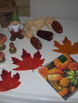 Herbstdekoration - Erwitte
