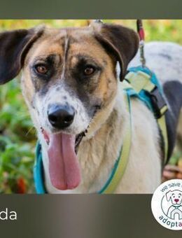 NADA: ein Name, der Hoffnung trägt - Kirchzell