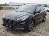 Ford Kuga, 1.5 EB ST-Line, Jahr 2023 - Hettstedt