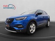 Opel Grandland 1.2 TURBO INNOVATION+AHK+RFK+PANO - Schnaittach