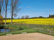 Liebevoll restaurierter Resthof mit Einliegerwohnung, Stallungen und professionellem Reitplatz - Nübel