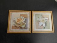 2 Bilder Timothy Jones 35x35 cm Kunstdrucke Holzrahmen mit Glas Deko Wanddeko Rose, Lilie zusammen 10,- - Flensburg