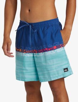 Quiksilver Boardshorts EVERYDAY WORDBLOCK VOLLEY 17