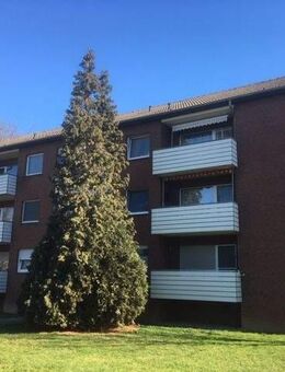 Bringen Sie Ihr Herz mit, es wird sich wohlfühlen! - Duisburg