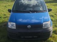 Fiat Panda - Nordhackstedt